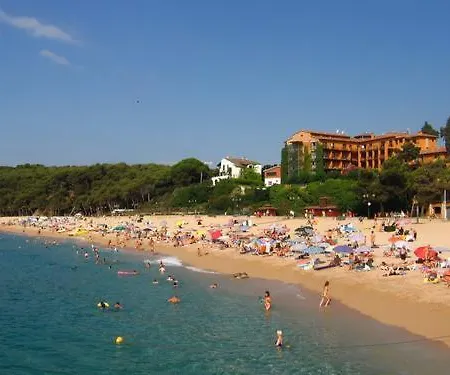 Abc * Lloret de Mar